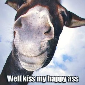 Meet your Posher, Tommye